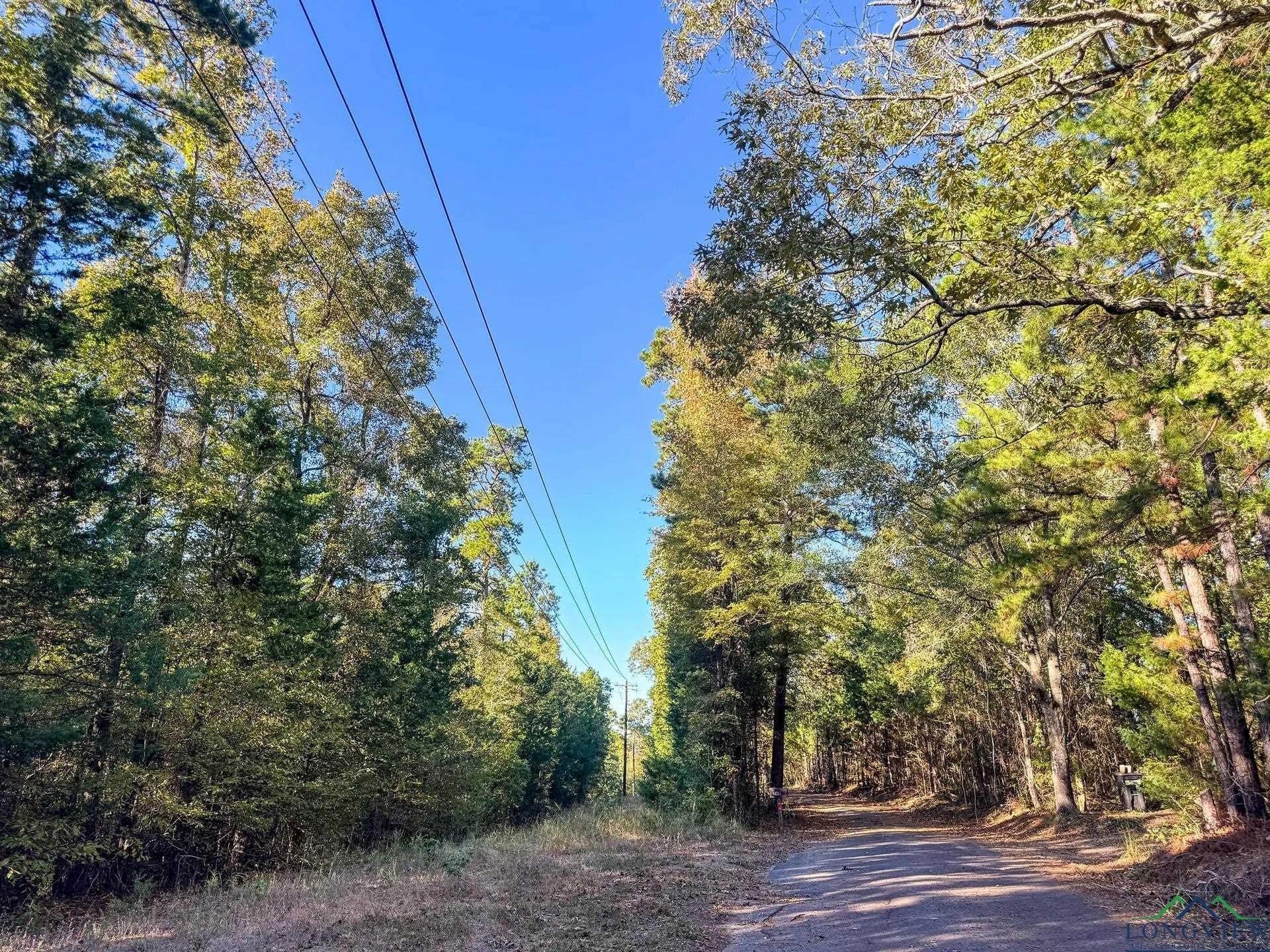 9.19 acres in Cass County - photo 13