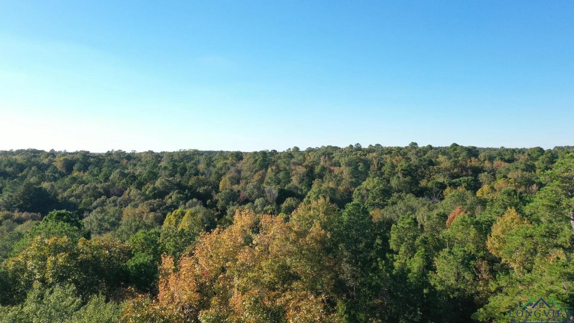 9.19 acres in Cass County - photo 2