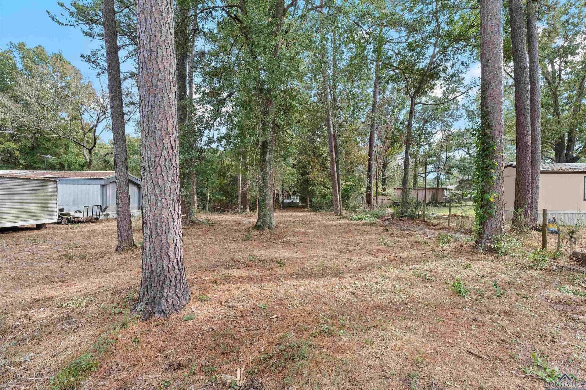 0.2 acres in Panola County - photo 5