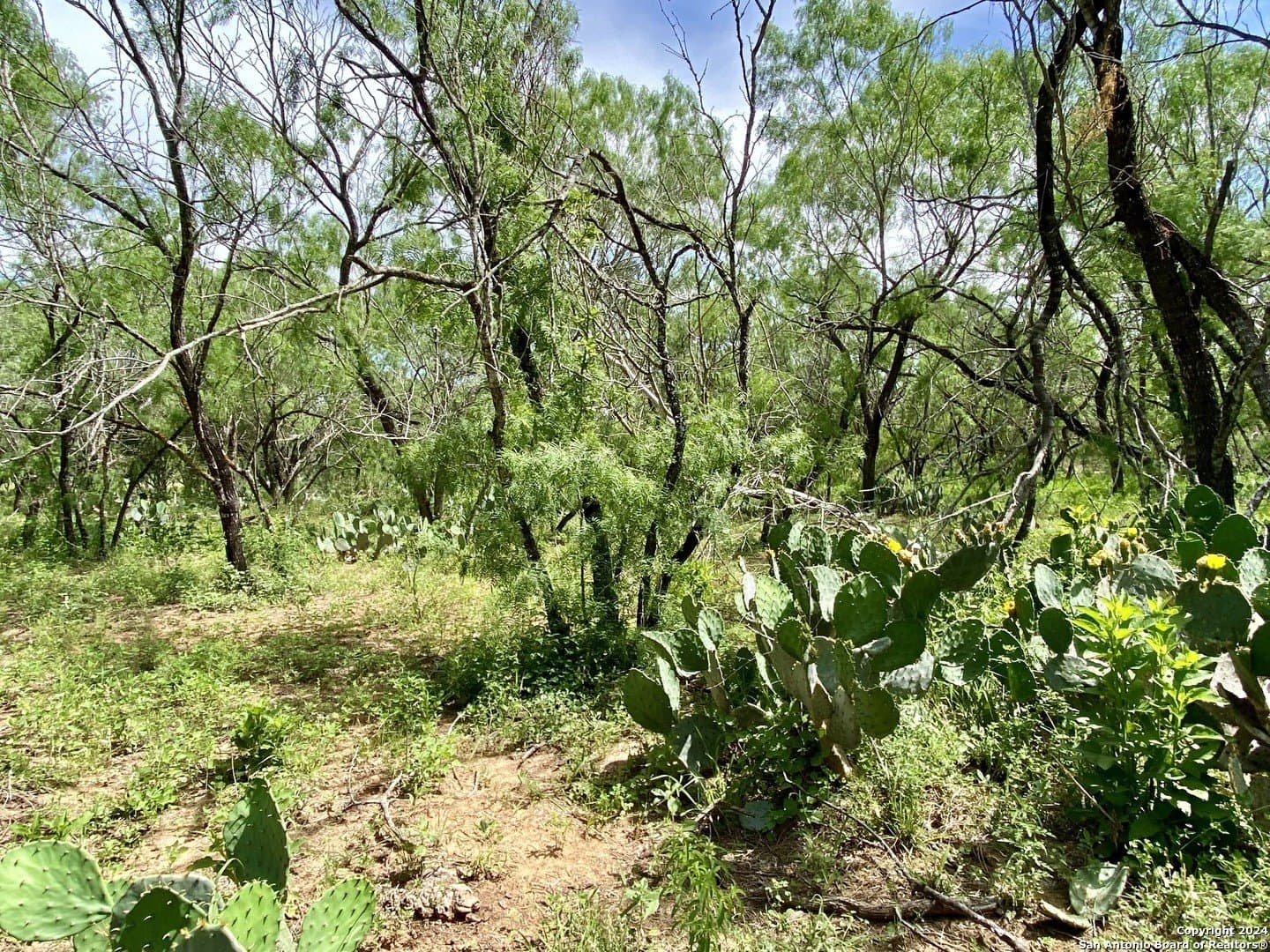 2 acres in Atascosa County - photo 5