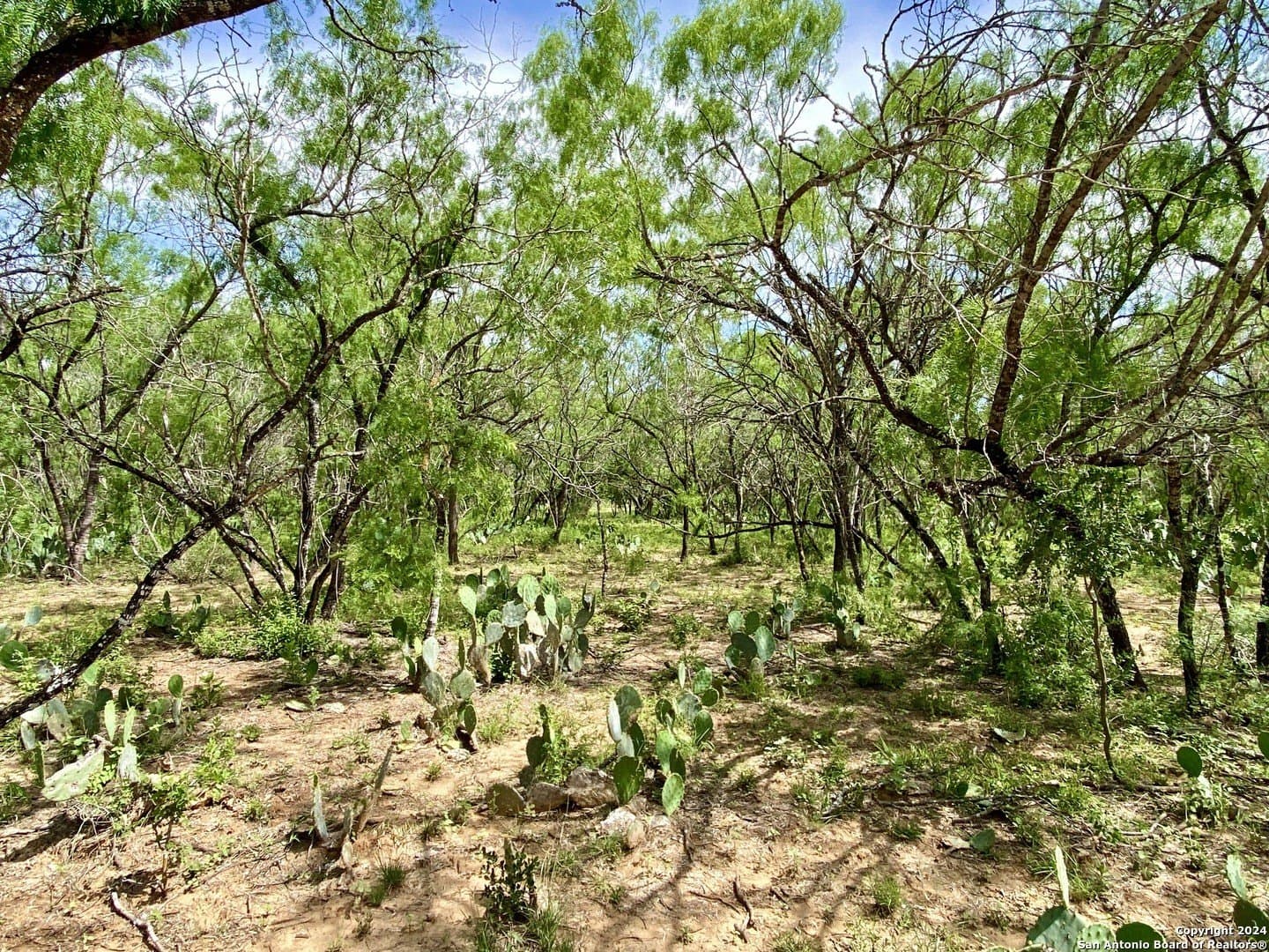 2 acres in Atascosa County - photo 4