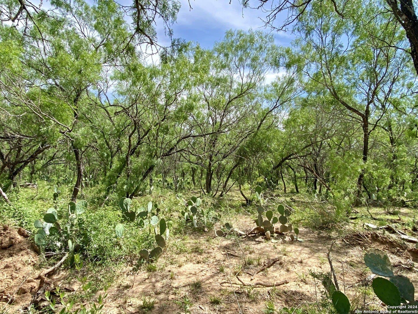 2 acres in Atascosa County - photo 3