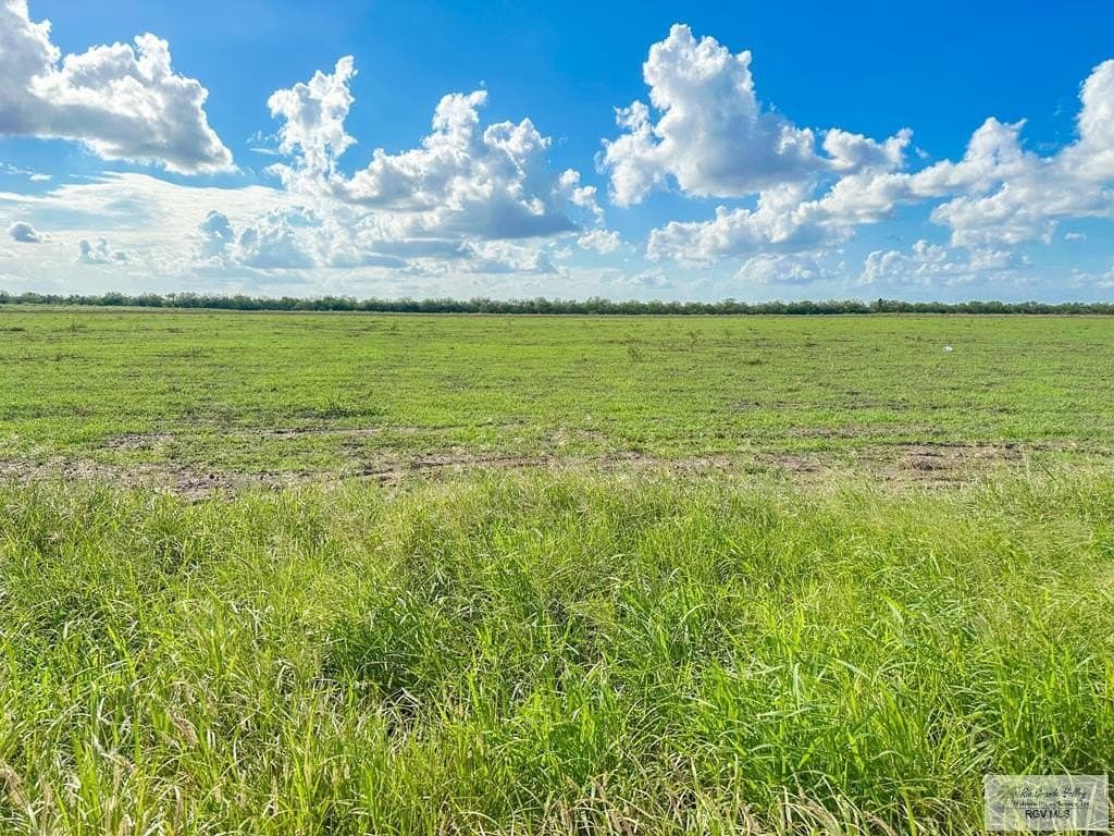 10.04 acres in CAMERON County - photo 3