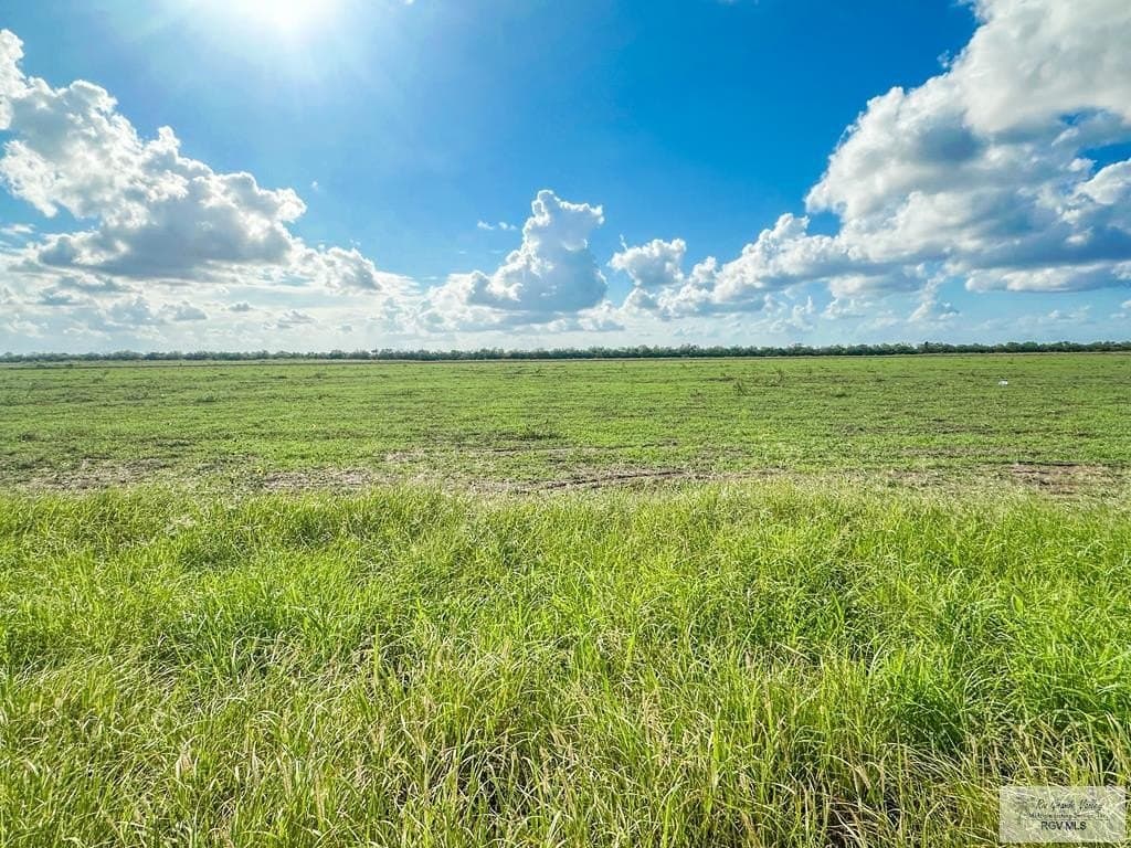 10.04 acres in CAMERON County - photo 4