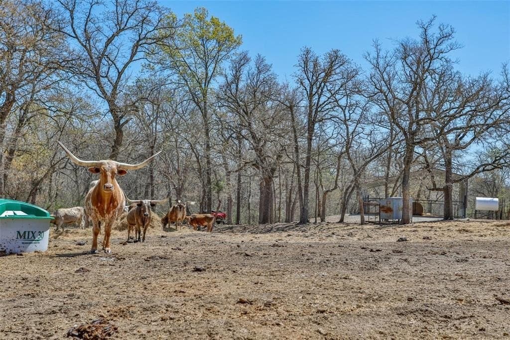 10.24 acres in Tarrant County - photo 38