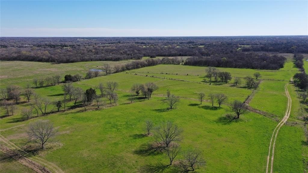 140 acres in Hunt County - photo 13