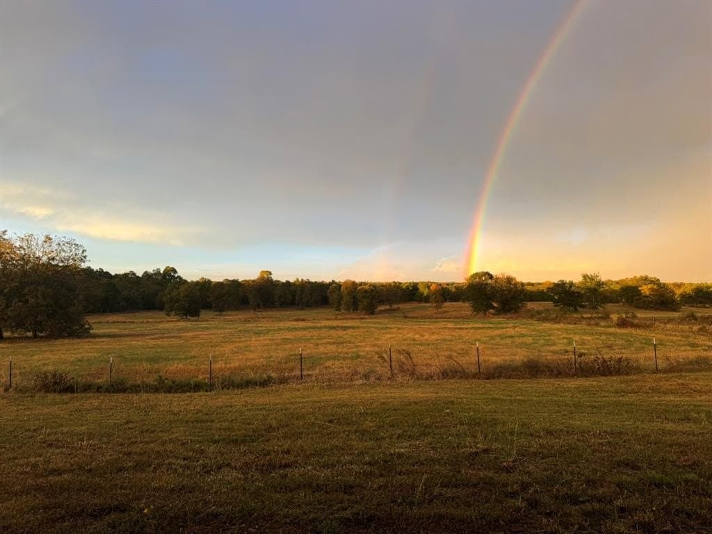 140 acres in Hunt County - photo 40