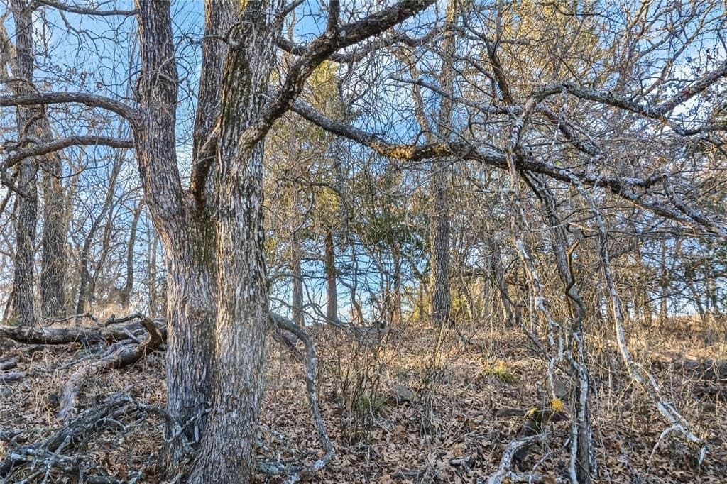 5.07 acres in Wise County - photo 12