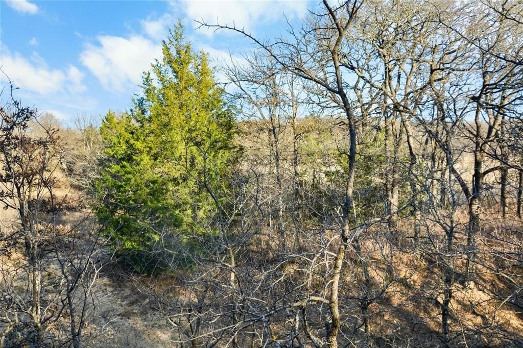 5.07 acres in Wise County - photo 11