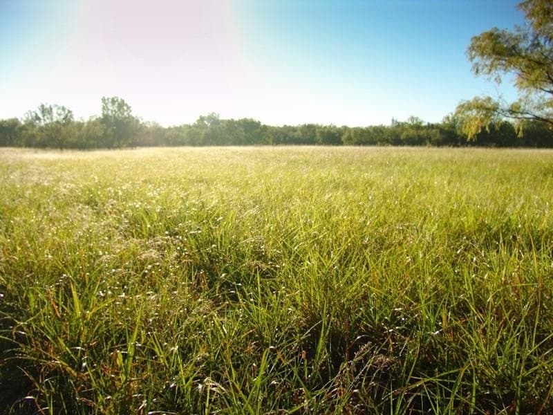 126.16 acres in Taylor County - photo 30