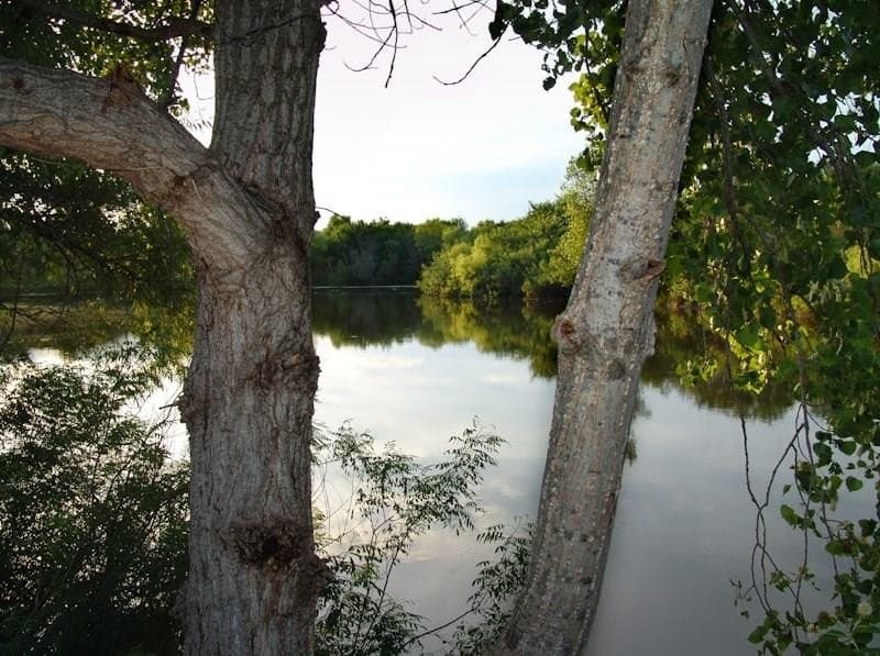 126.16 acres in Taylor County - photo 2