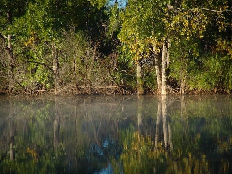 126.16 acres in Taylor County - photo 25