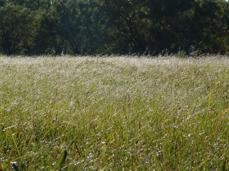 126.16 acres in Taylor County - photo 31