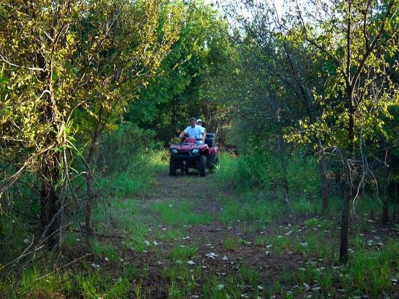 126.16 acres in Taylor County - photo 33