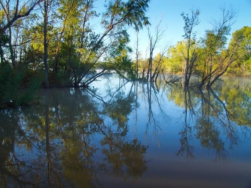126.16 acres in Taylor County - photo 21