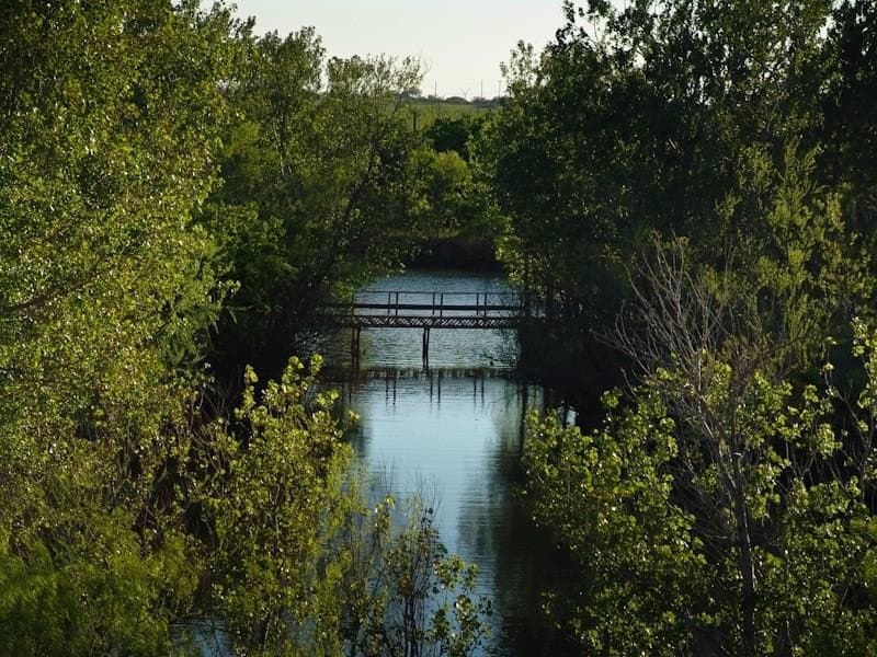 126.16 acres in Taylor County - photo 6
