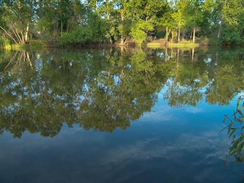 126.16 acres in Taylor County - photo 17