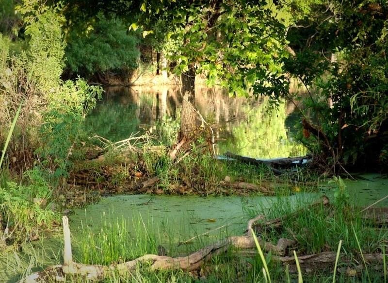 126.16 acres in Taylor County - photo 15