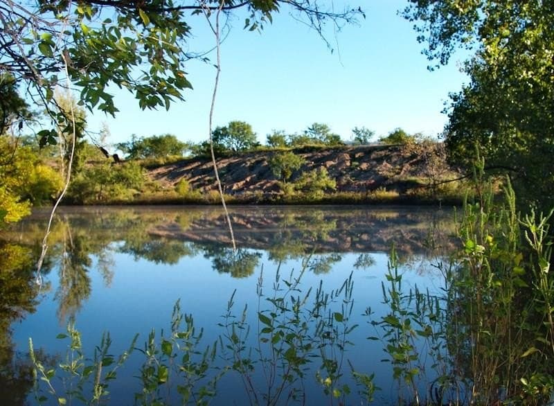 126.16 acres in Taylor County - photo 29