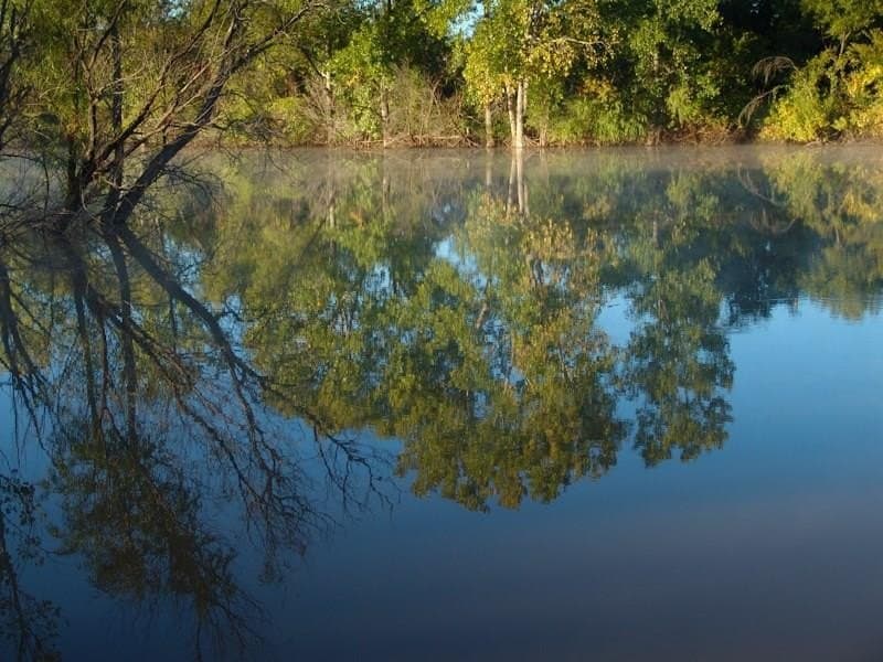 126.16 acres in Taylor County - photo 24