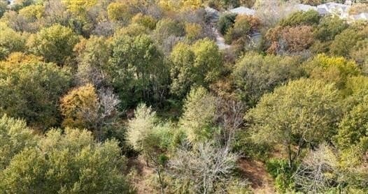 3.98 acres in Smith County - photo 3