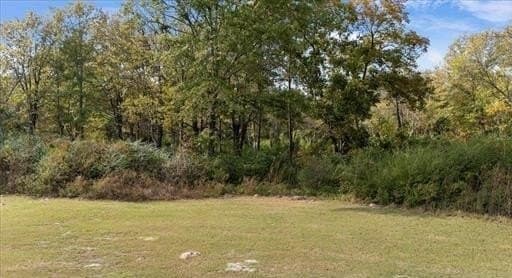 3.98 acres in Smith County - photo 2