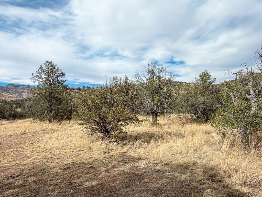 6.26 acres in Jeff Davis County - photo 13