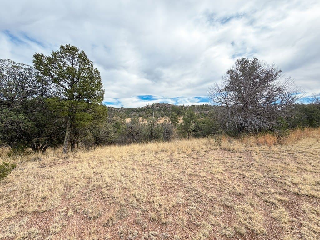6.26 acres in Jeff Davis County - photo 11