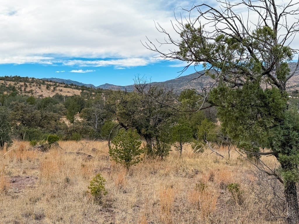 6.26 acres in Jeff Davis County - photo 12