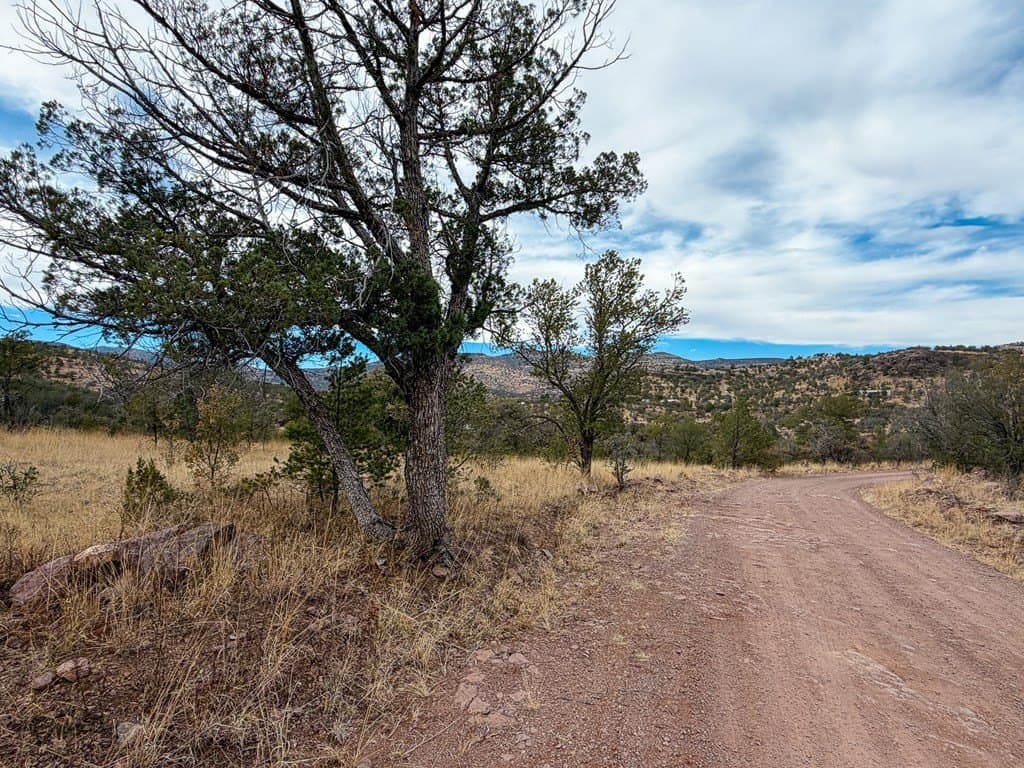 6.26 acres in Jeff Davis County - photo 15