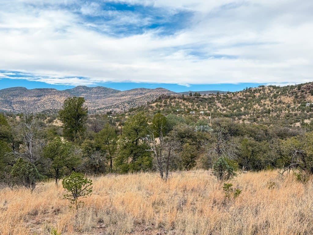 6.26 acres in Jeff Davis County - photo 9