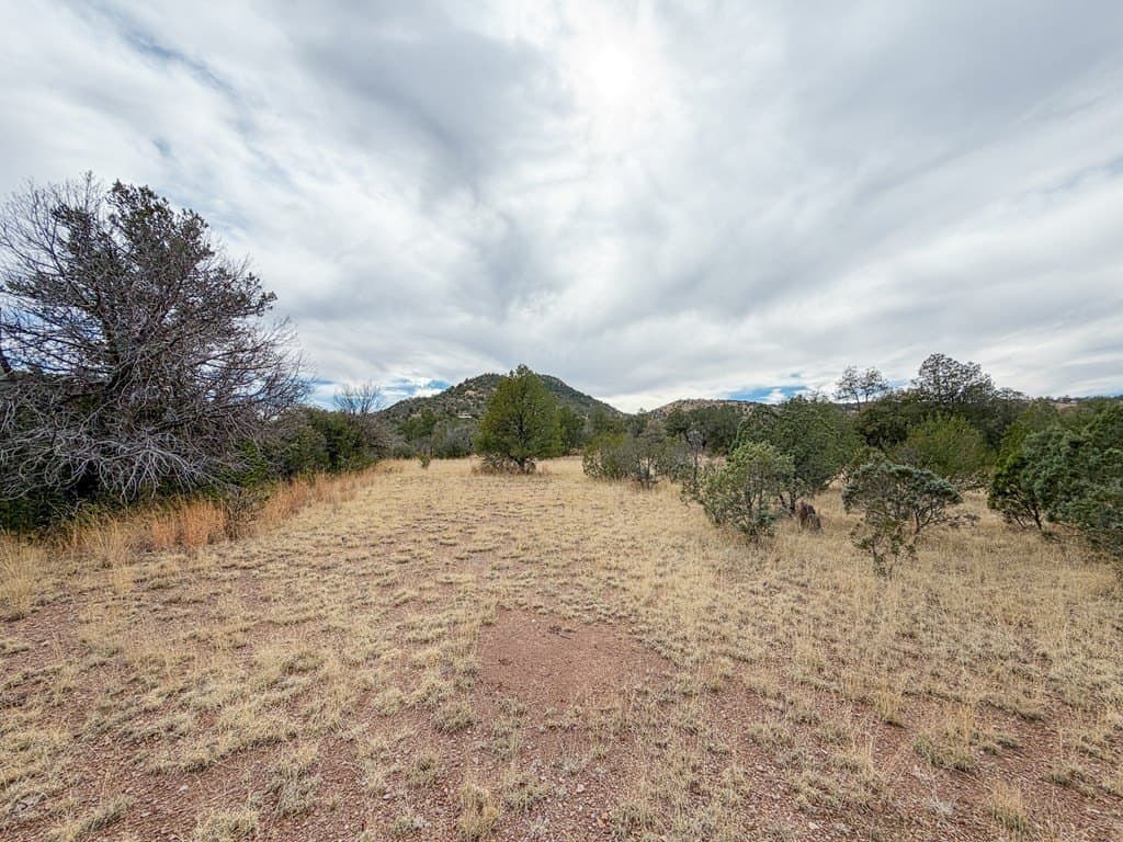 6.26 acres in Jeff Davis County - photo 10