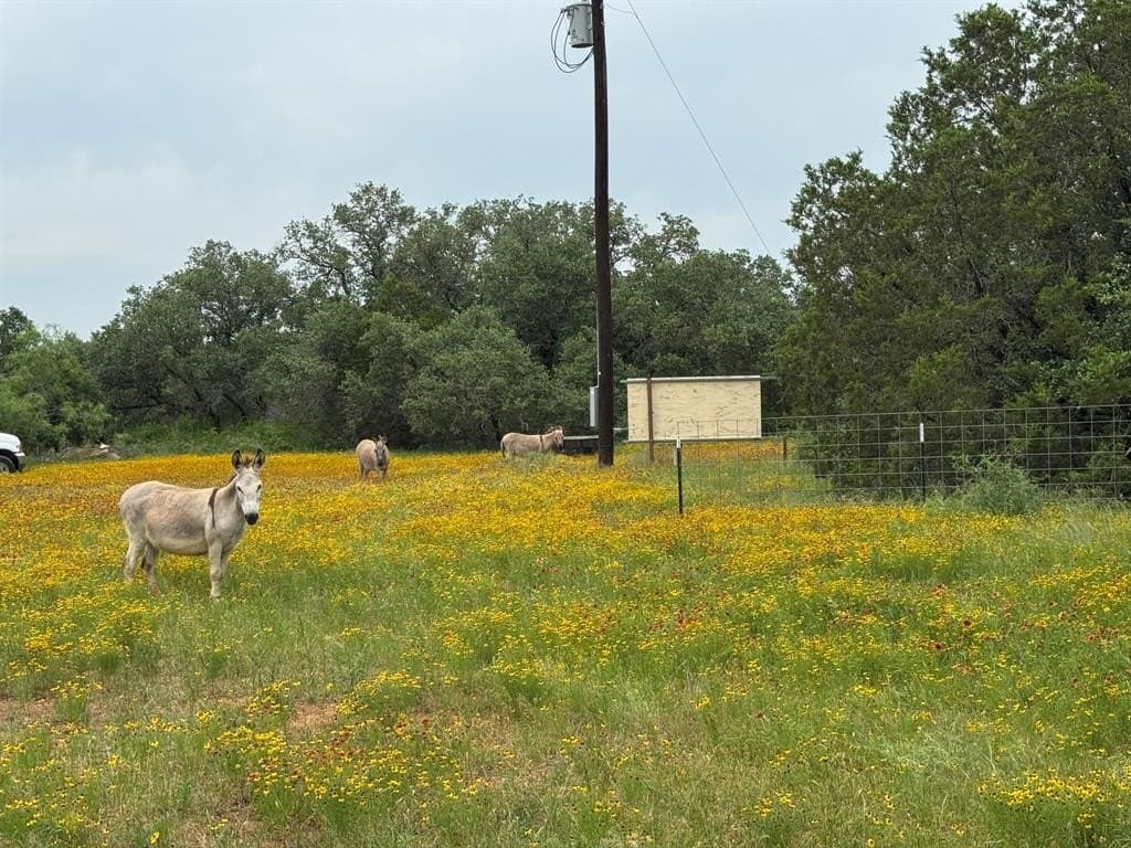 30 acres in Stephens County - photo 18