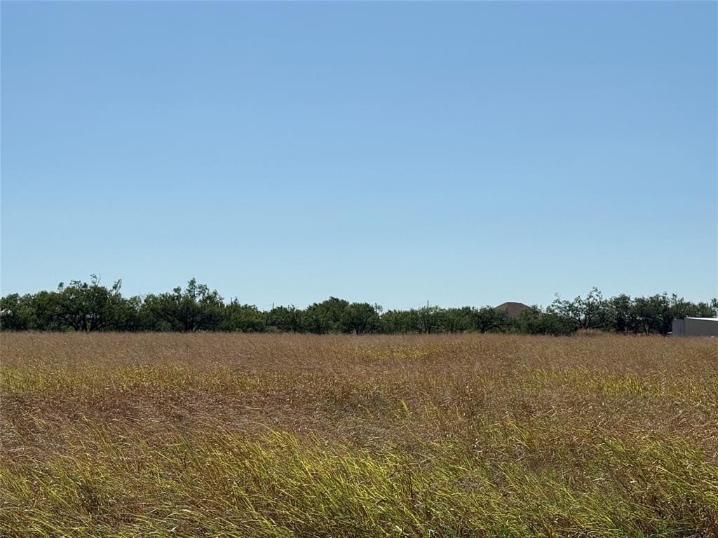 3.12 acres in Taylor County - photo 10