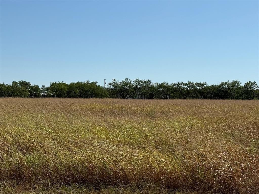 3.12 acres in Taylor County - photo 9