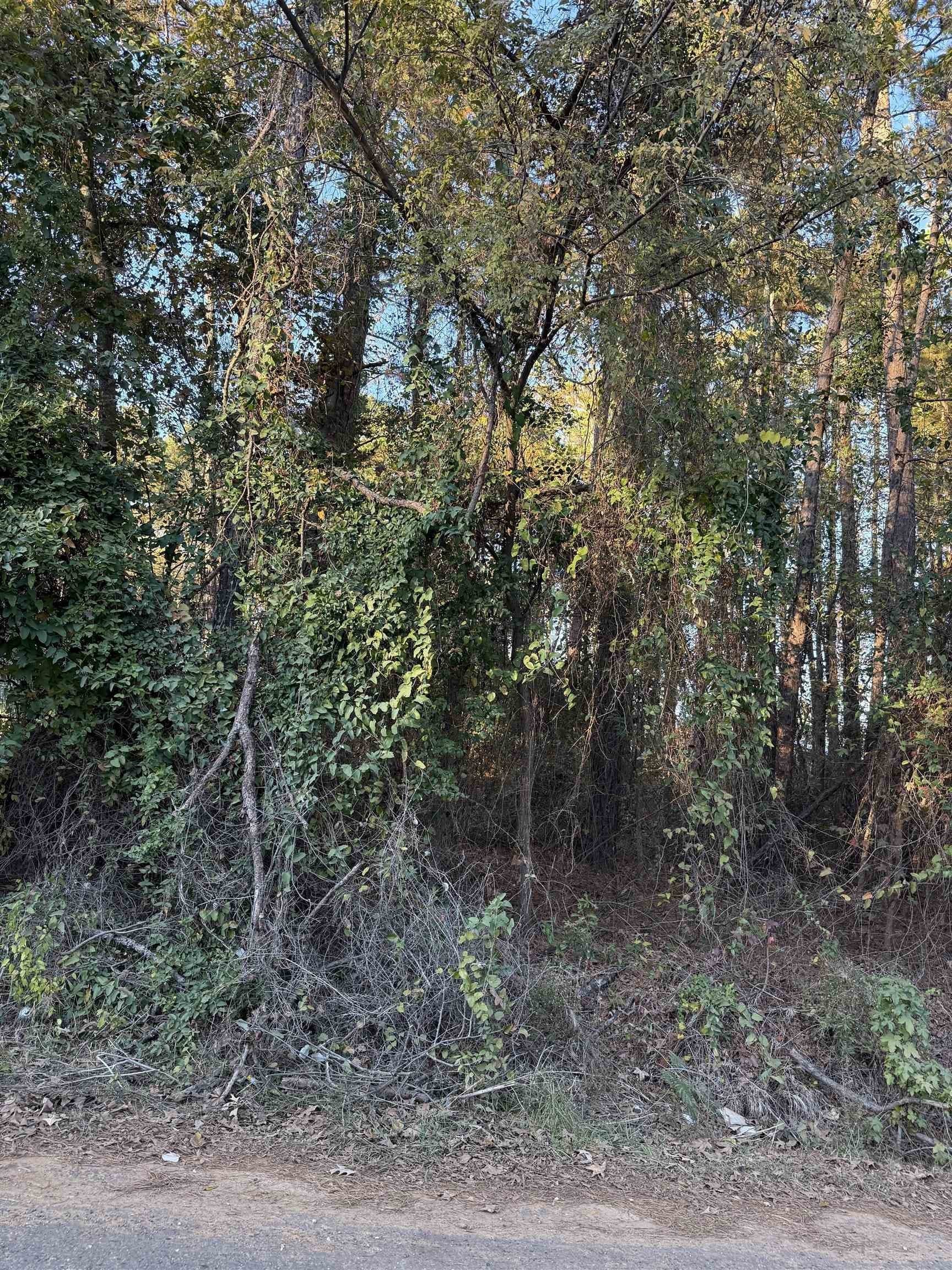 0.46 acres in Upshur County - photo 6