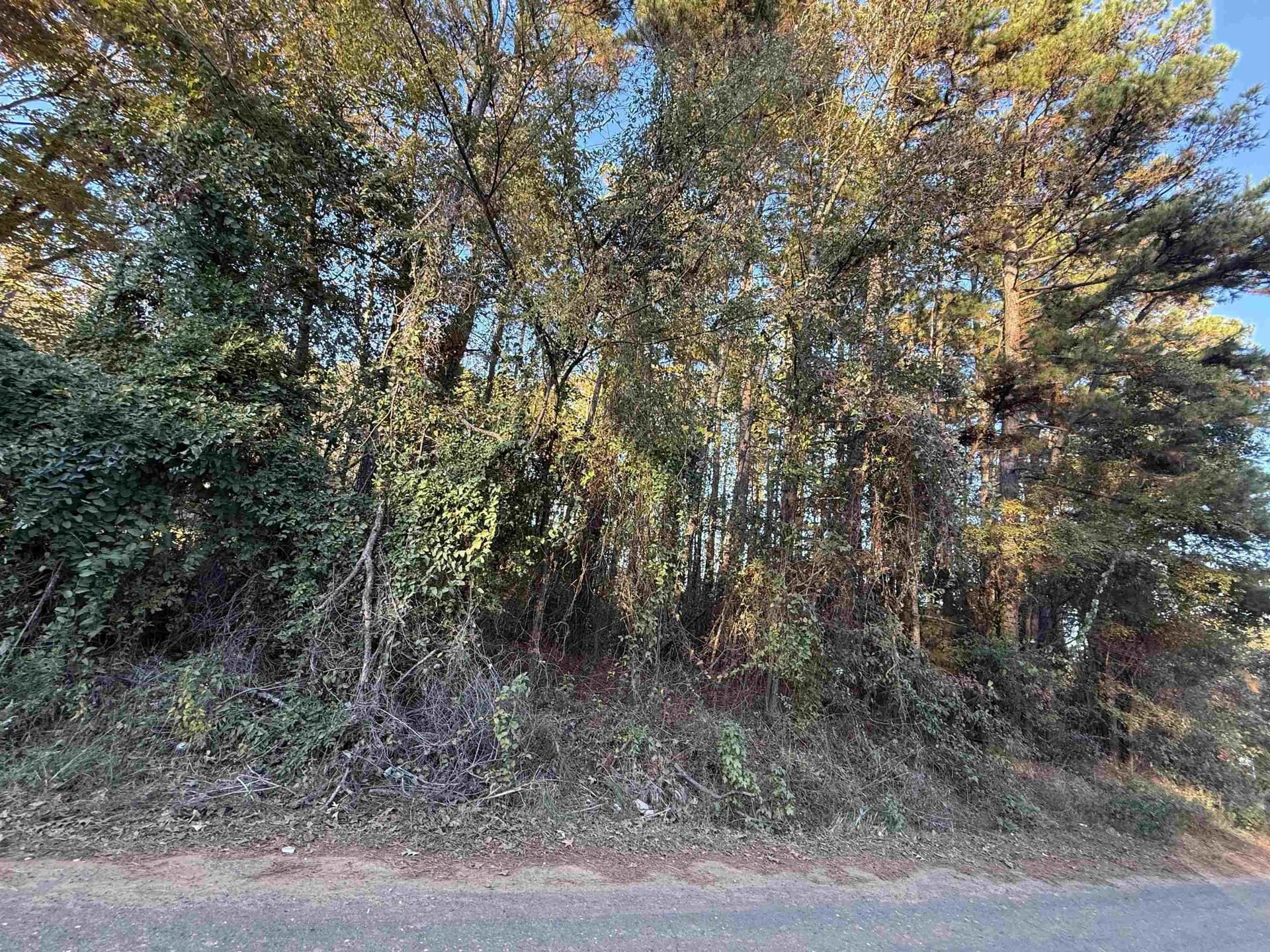 0.46 acres in Upshur County - photo 2