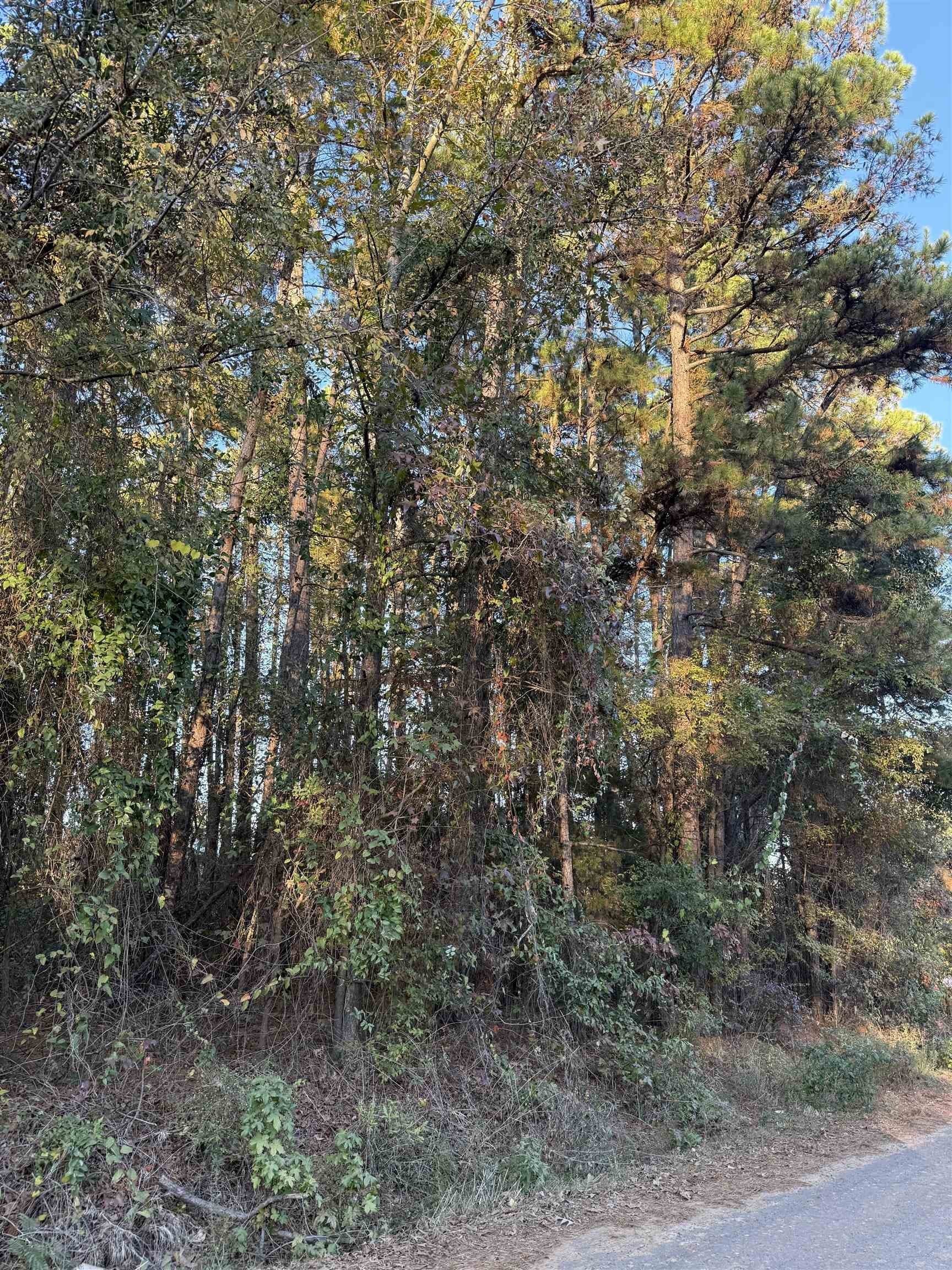 0.46 acres in Upshur County - photo 4