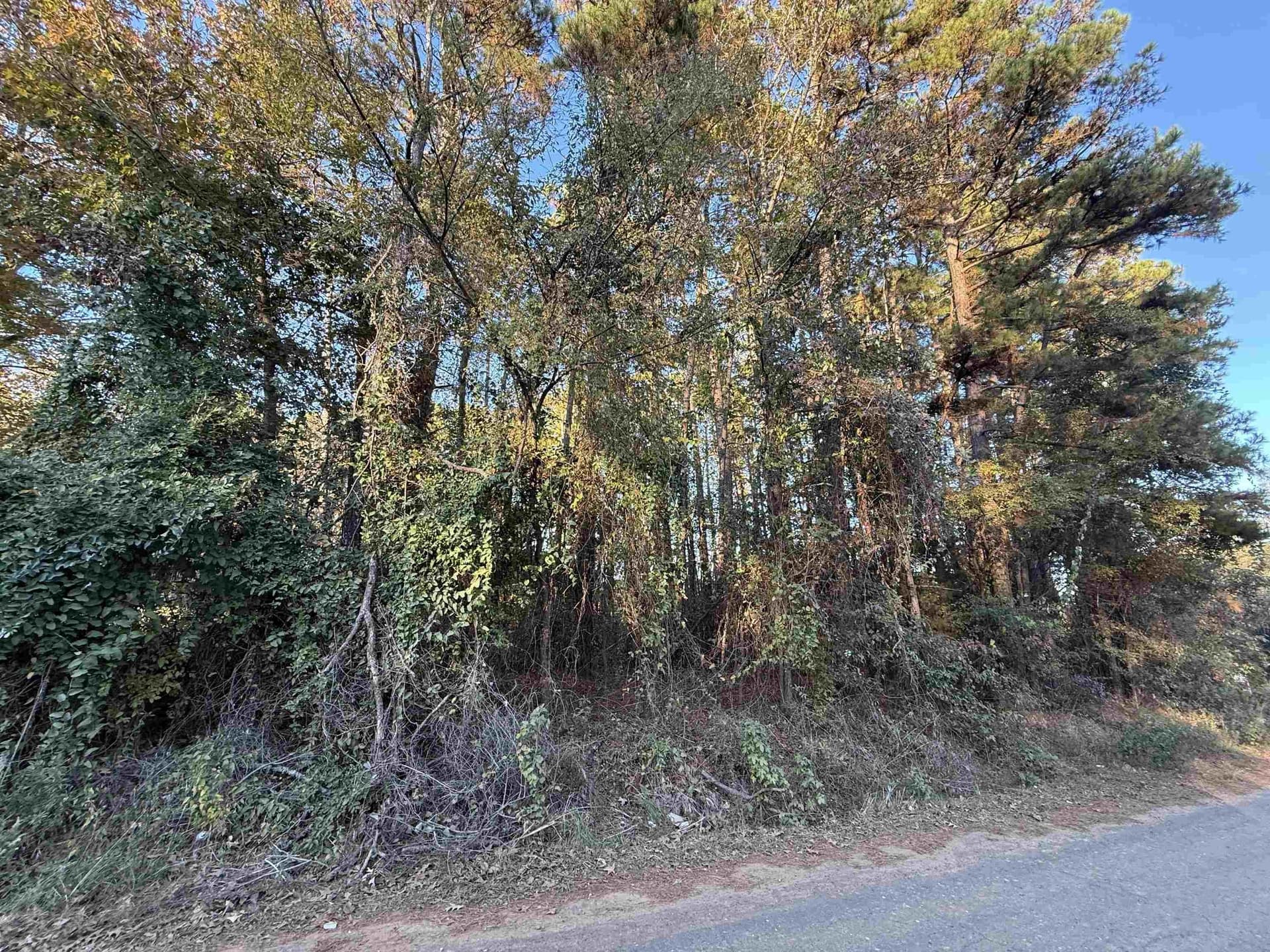 0.46 acres in Upshur County - photo 3