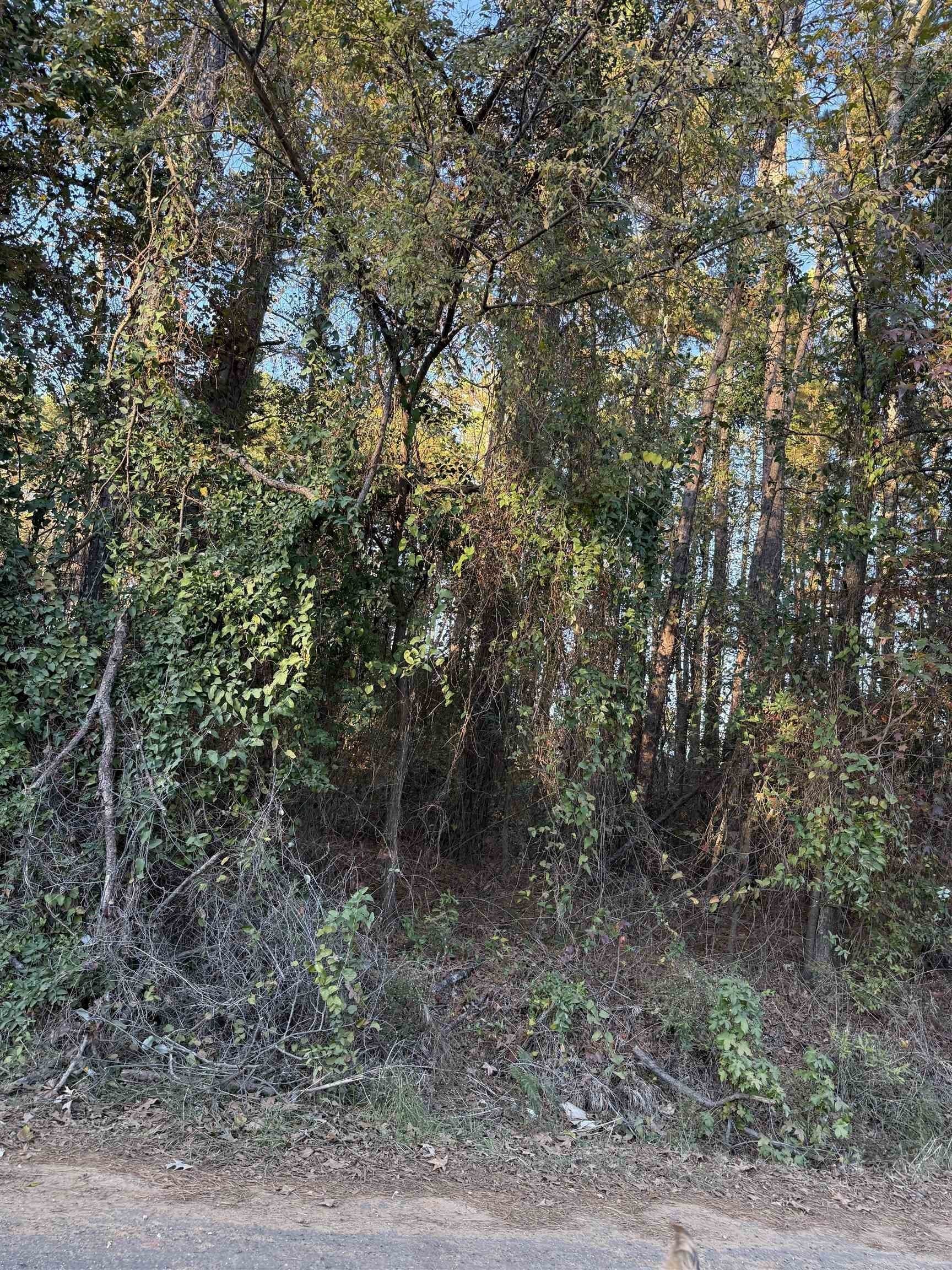 0.46 acres in Upshur County - photo 5