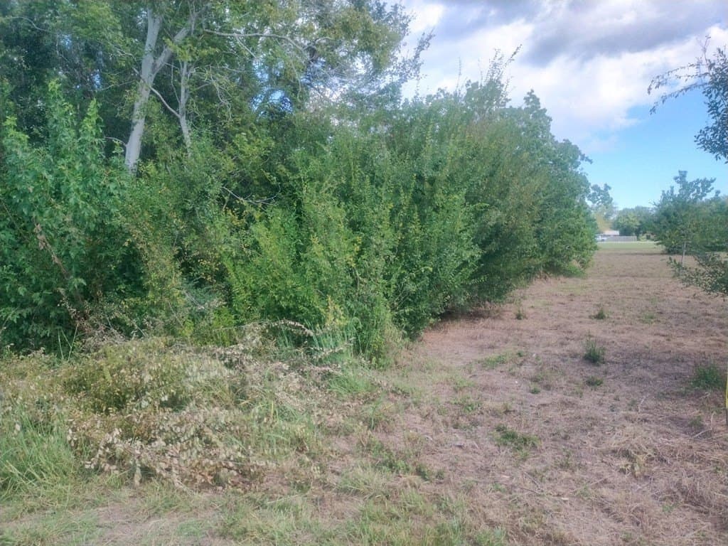 0.62 acres in Texas County - photo 3