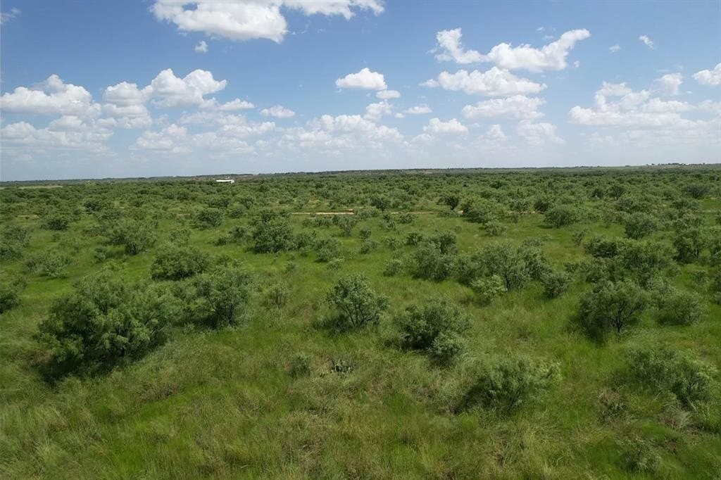 10.01 acres in Jones County - photo 3
