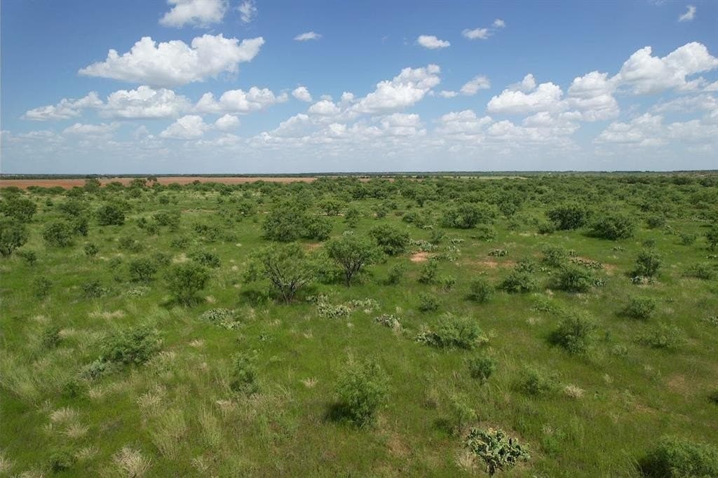 10.01 acres in Jones County - photo 2