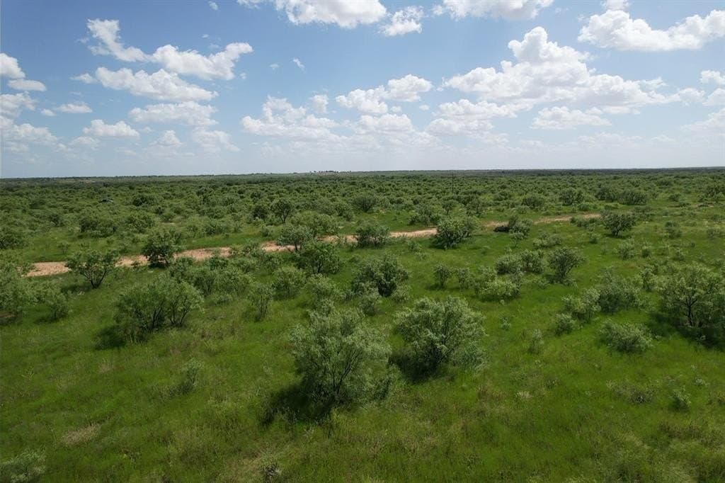 10.01 acres in Jones County - photo 14