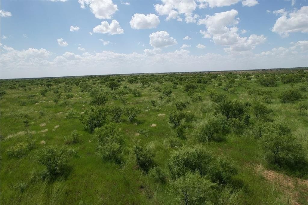 10.01 acres in Jones County - photo 9