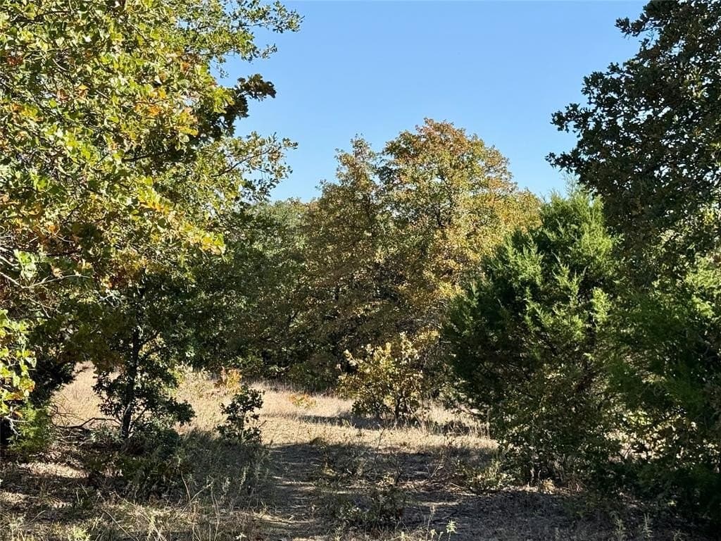 76.52 acres in Montague County - photo 8