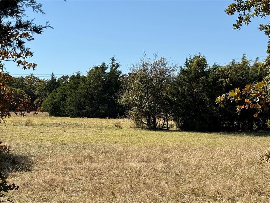 76.52 acres in Montague County - photo 29
