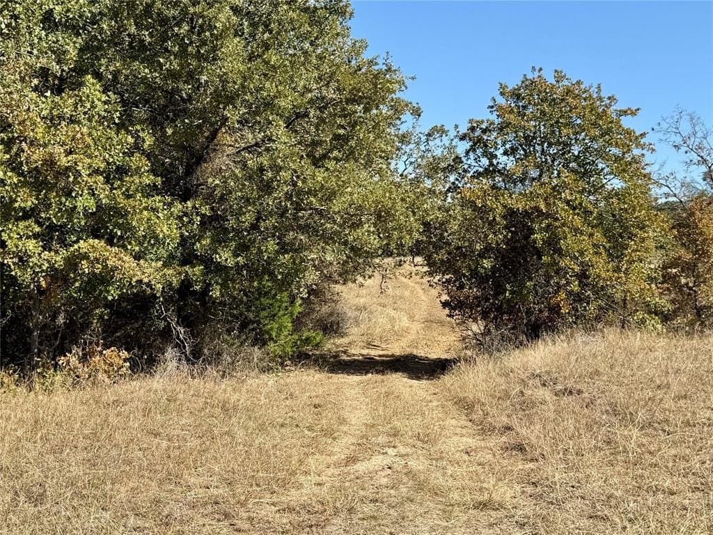 76.52 acres in Montague County - photo 34