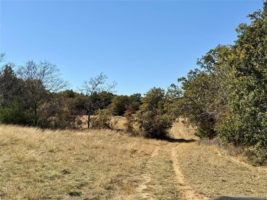 76.52 acres in Montague County - photo 24