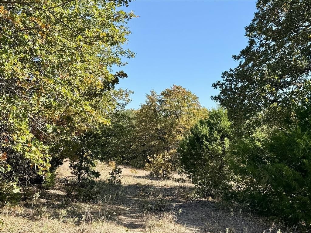 76.52 acres in Montague County - photo 3